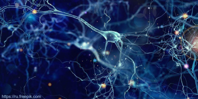 ОМО по неврологии приглашает на вебинар по алгоритмам ведения пациентов после инсульта 8 октября в 16:00