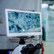 V Российский конгресс лабораторной медицины: как это было