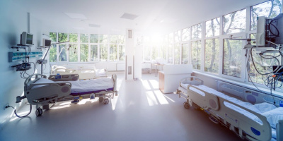 12 мая день рождения С. С. Брюхоненко – врача, исследователя и инженера