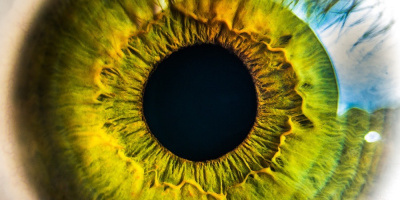 Рекомендованные мероприятия по офтальмологии 13-15 мая