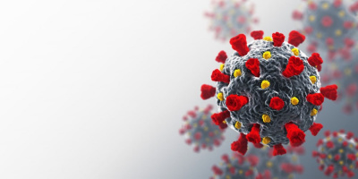 Соблюдение прав граждан на охрану здоровья в период пандемии: круглый стол в Общественной палате РФ с участием НИИОЗММ ДЗМ