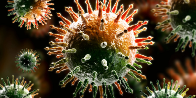 Международные вебинары по вопросам сбора, кодирования, анализа и интерпретации данных о COVID-19