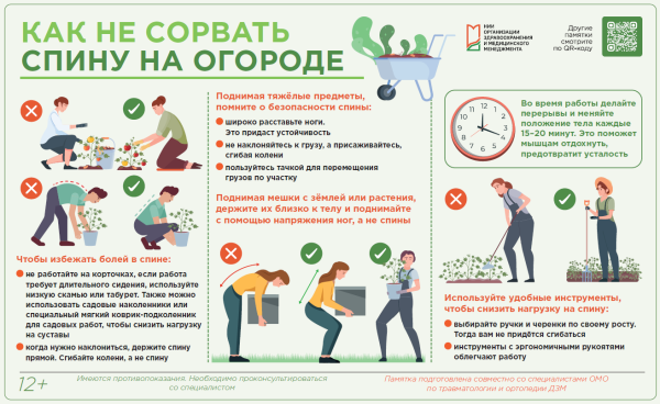 Как не сорвать спину на огороде