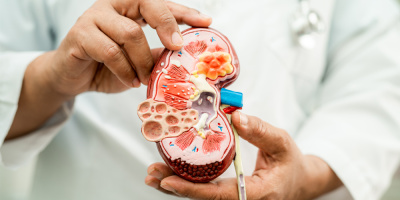 Всемирный день нефролога