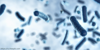 Вебинар «Клостридиальная инфекция: особенности диагностики, лечения и профилактики», 21 февраля 2023 года