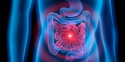 Сотрудники ОМО по колопроктологии приняли участие в создании обзора эпидемиологии воспалительных заболеваний кишечника