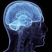 Неврологическая помощь в Москве. Цифры и факты