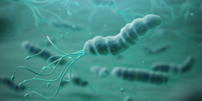 Гастроэнтеролог ответил на вопросы о Helicobacter pylori на канале FFTV 