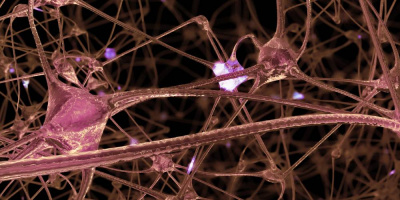 Вебинар «Коморбидная неврология», 27 апреля 2022 года