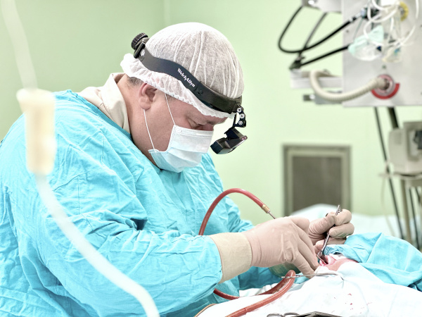 Признательность оториноларингологам 