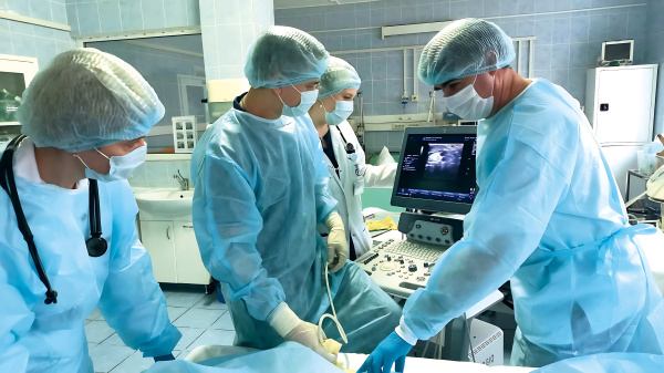 Спасение от укуса змеи