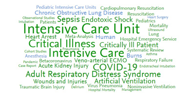 Исследования в предметной области «Интенсивная терапия и реаниматология» с позиций наукометрического подхода