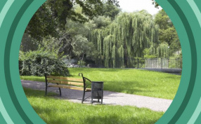 Несколько способов проверить свое здоровье