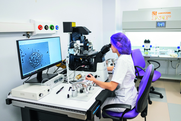 Шаг за шагом к рождению ребенка