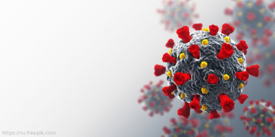 Соблюдение прав граждан на охрану здоровья в период пандемии: круглый стол в Общественной палате РФ с участием НИИОЗММ ДЗМ