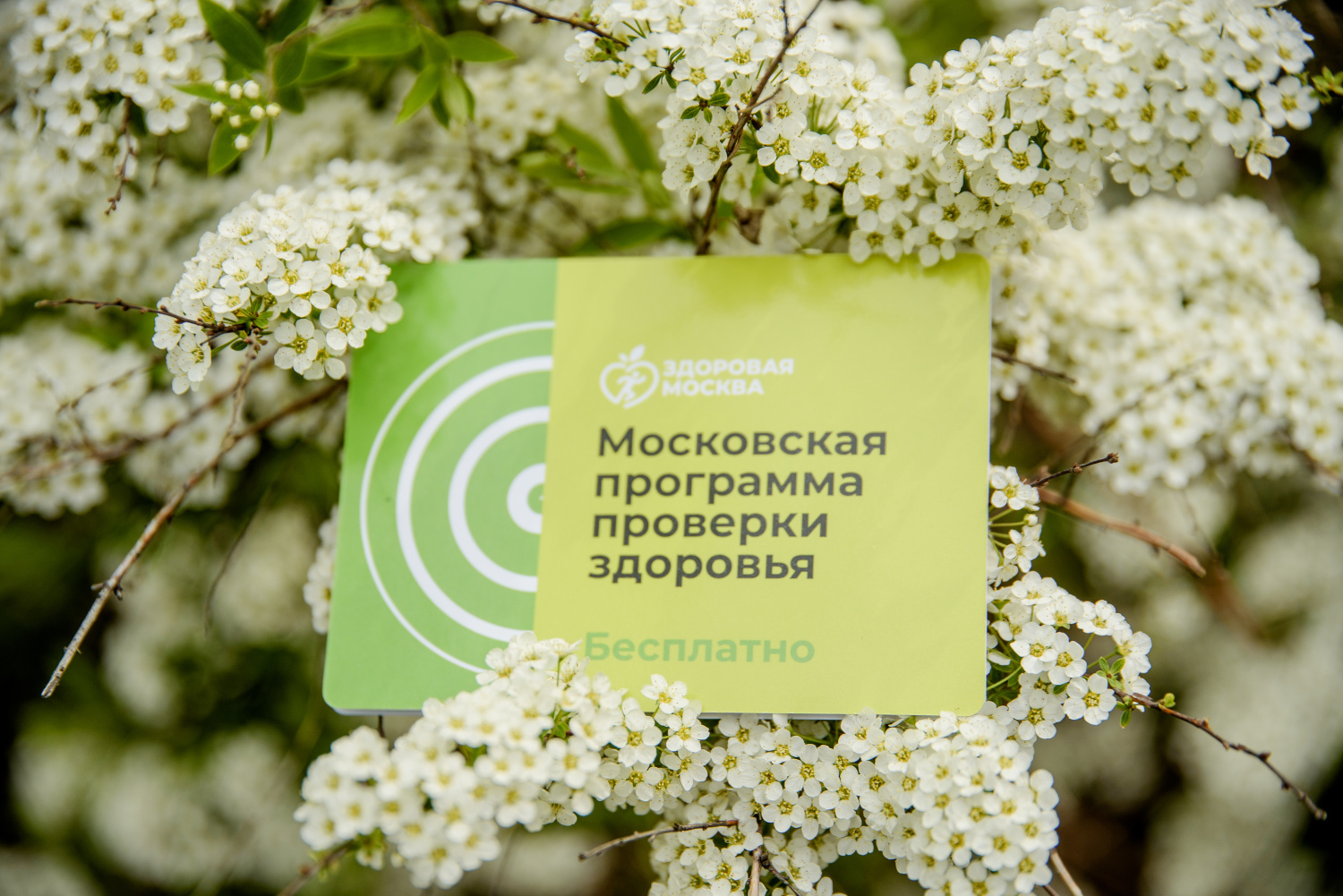 Павильоны здоровья