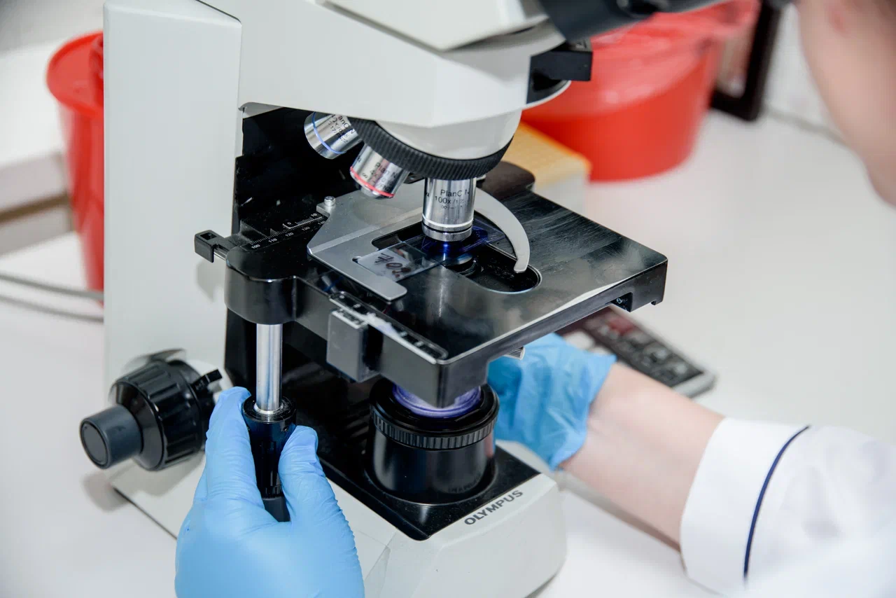 Ученые впервые создали генетическую карту экспансии тандемных повторов ДНК (США)