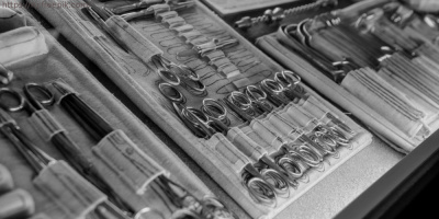 12 января – день рождения В. Д. Шервинского