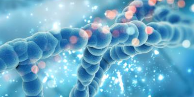 Школа для онкологических пациентов «Вклад генетических факторов в развитие онкологических заболеваний»