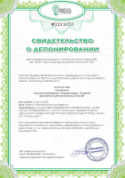 Научное произведение «Команда первых. Создание флагманских центров больниц в Москве»