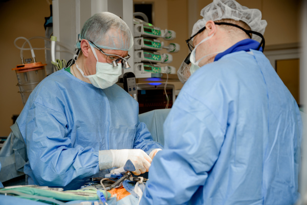 Лечение в кардиохирургическом отделении больницы В. В. Вересаева