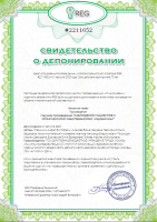 Научное произведение «Наблюдение пациентов с хроническими заболеваниями. Мировой опыт»