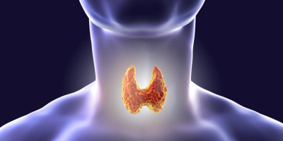 Болезни эндокринной системы в Москве