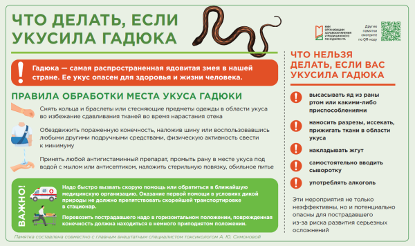Что делать, если укусила гадюка