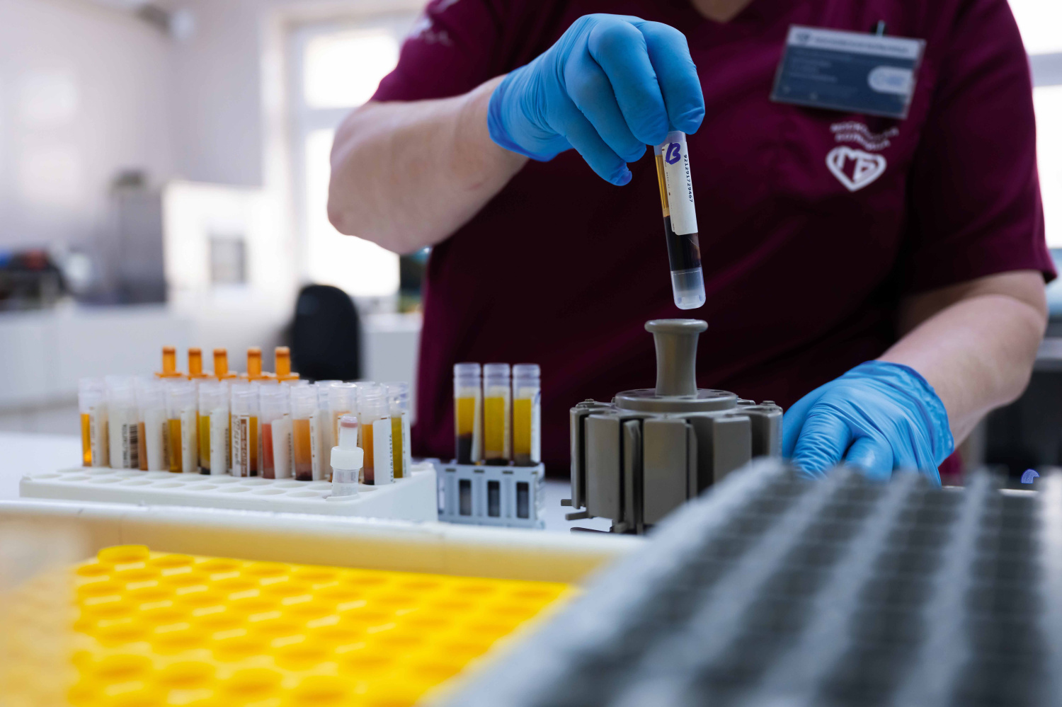 Заглянуть  внутрь клетки 