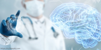 Междисциплинарное наставничество нейробиологов