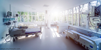 12 мая день рождения С. С. Брюхоненко – врача, исследователя и инженера