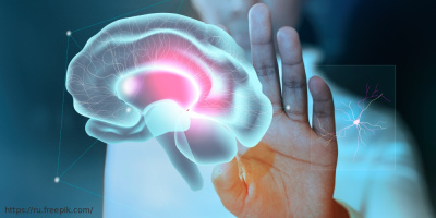  Международная неделя мозга: погружаемся в мир нейронауки