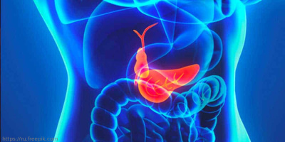 Вебинар «Трудности диагностики хронического панкреатита. Клиническая практика» 24 марта в 12:00