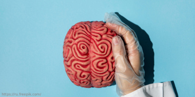 Неделя сохранения здоровья головного мозга