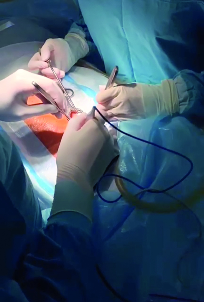 Фото: личный архив К. В. Любимой