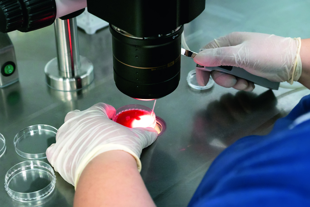 Фото: Людмила Заботина/НИИОЗММ