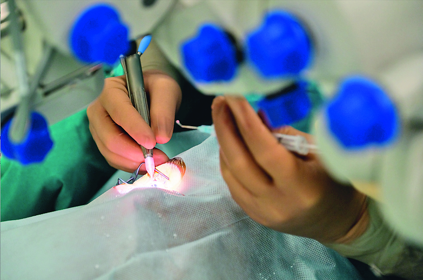 Фото: пресс-служба Боткинской больницы